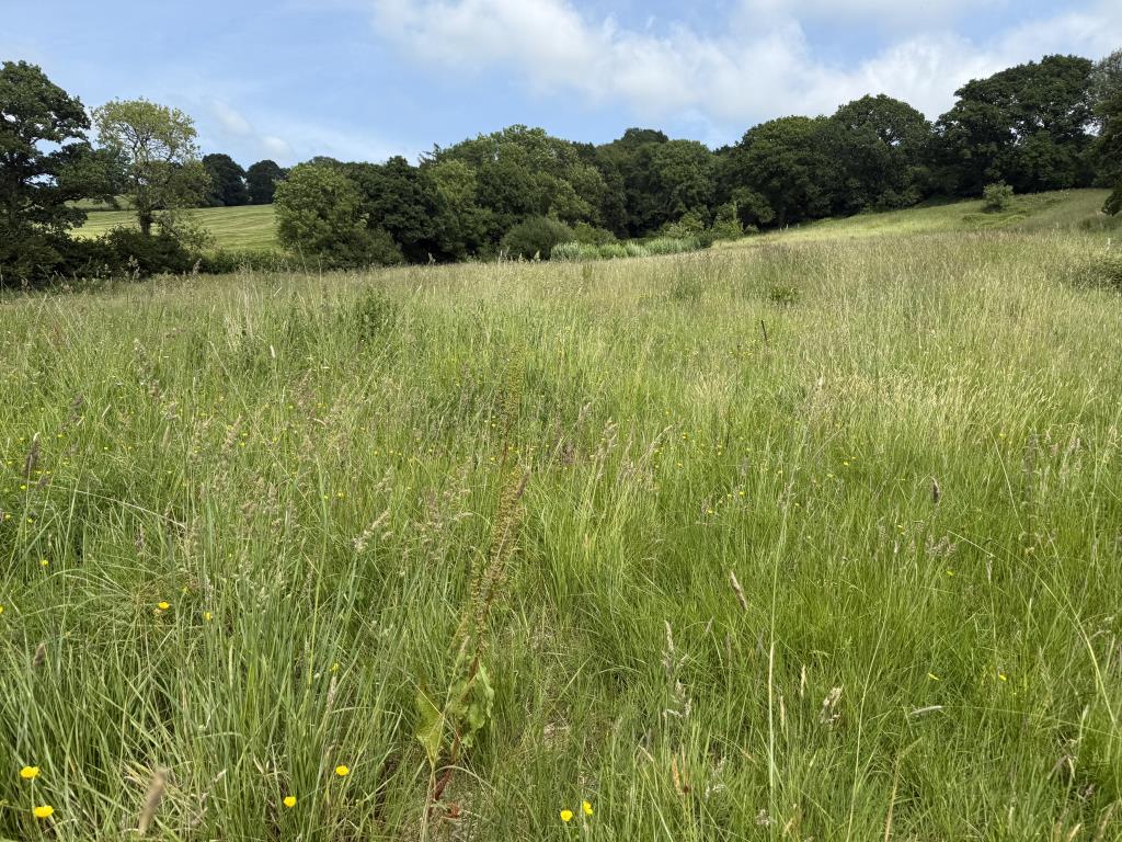 Lot: 69 - 3.24 ACRES OF LAND WITH PLANNING FOR AGRICULTURAL BUILDING - WORKS COMMENCED - General view of field towards woodland